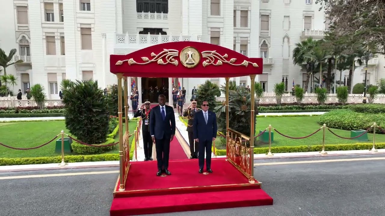 #موقع_الرئاسة || الرئيس عبد الفتاح السيسي يستقبل رئيس الجابون