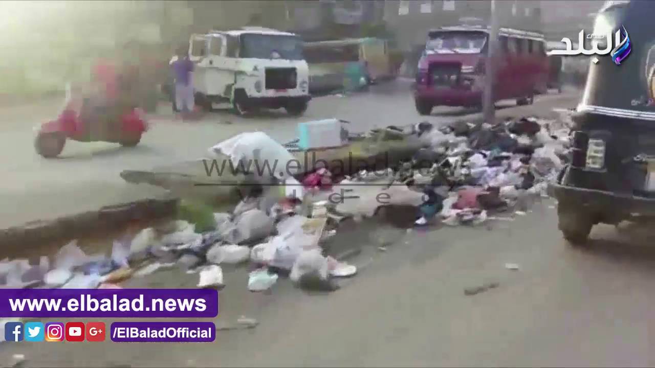 صدى البلد | شارع أحمد عرابي بشبرا الخيمة يتحول إلى "مرعى للأغنام ومقلب للزبالة"