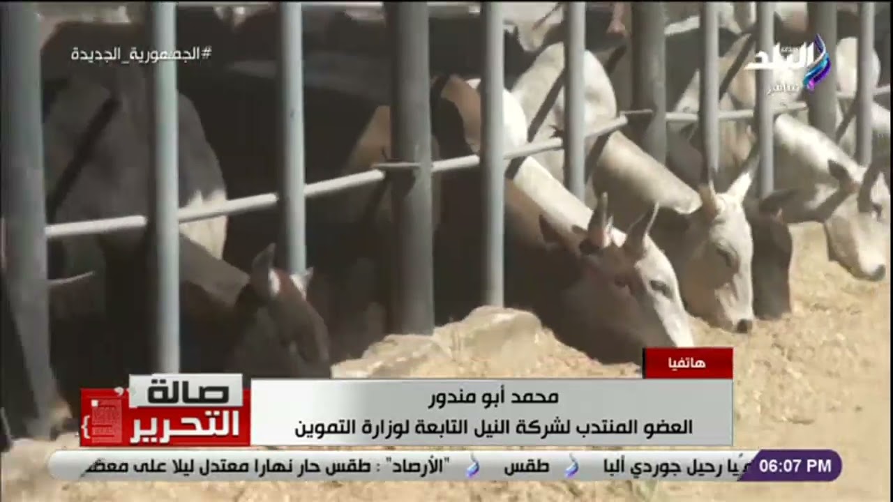 اللحوم السودانية اللي الكيلو بـ 195 جنيه موجودة فين ؟ .. التموين تحدد أماكنها للمواطنين