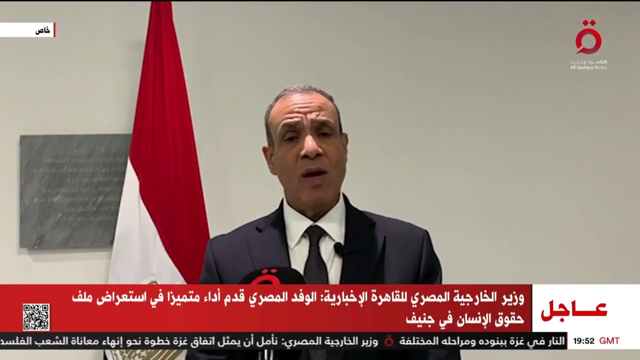 وزير الخارجية المصري: أحرزنا تقدما على جميع المستويات ذات الصلة بحقوق الإنسان