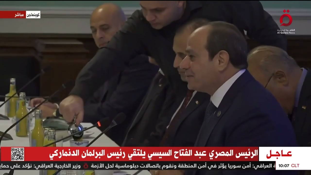 الرئيس المصري عبد الفتاح السيسي يلتقي رئيس البرلمان الدنماركي
