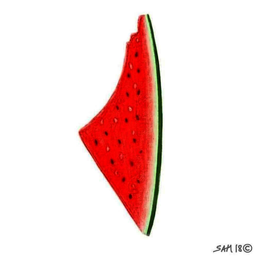 IMG 20210601 WA0054