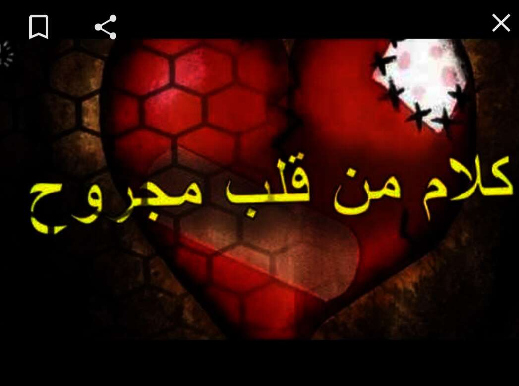 IMG ٢٠٢١٠٦٢٤ ١٦٠١١٤
