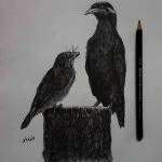 IMG 20230219 WA0011