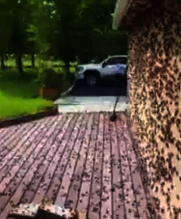 received 3508369769418730
