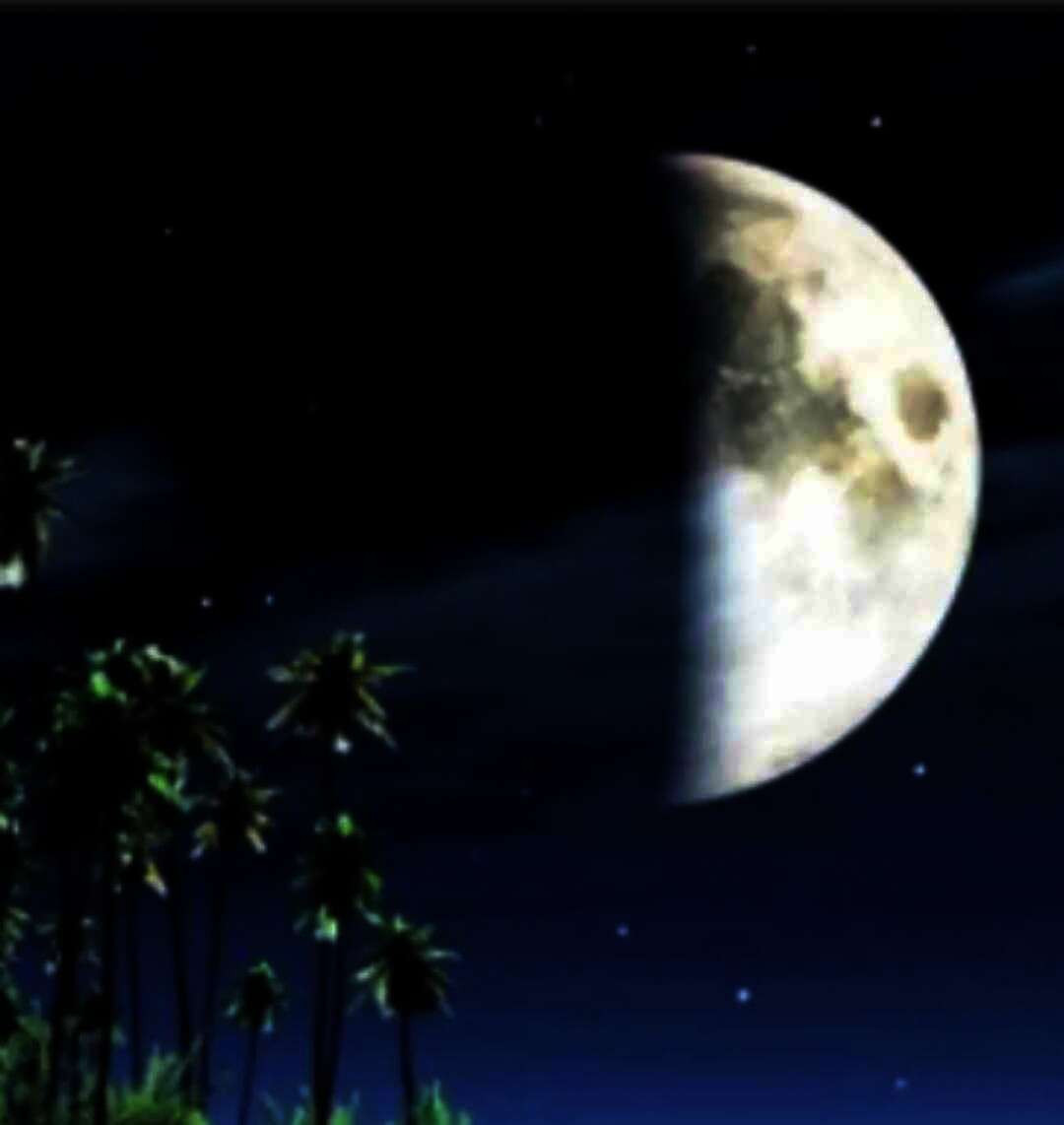 received 839810494475568
