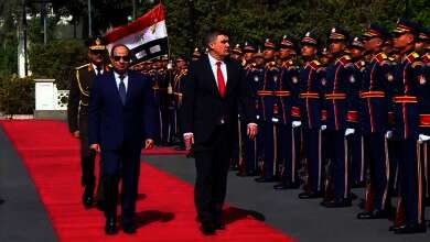 السيسي ونظيره التركي