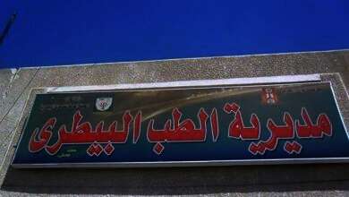 الدكتور إبراهيم محمد متولي