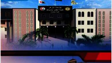 24D3C3F8 5BD0 4896 82BE AAA63A1382F0