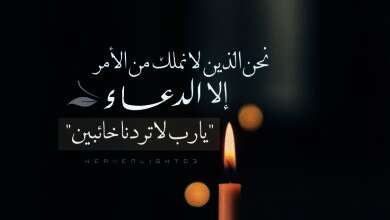 2d6f5683c2c11733b84a13ac8b4df185