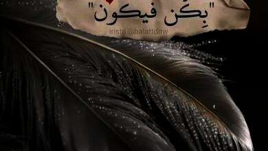 7bc6c8b55932e9c4716f08feabfdf576