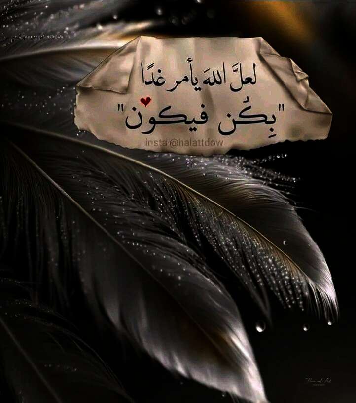 7bc6c8b55932e9c4716f08feabfdf576