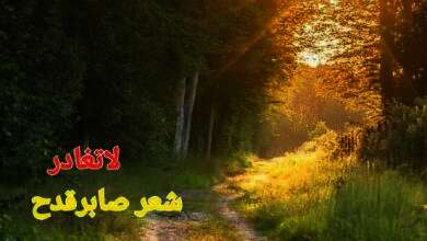received 1294263434616798