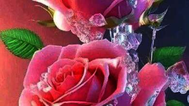 received 1531490777420110