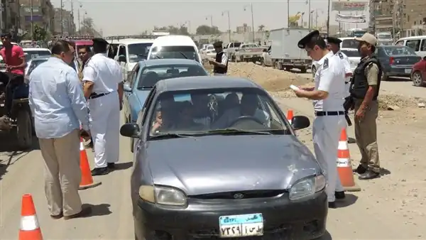 7 محاضر في حملات لبيطري وتموين الدقهلية
