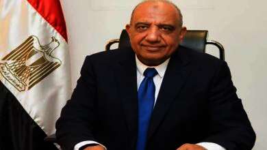 الدكتور محمود عصمت