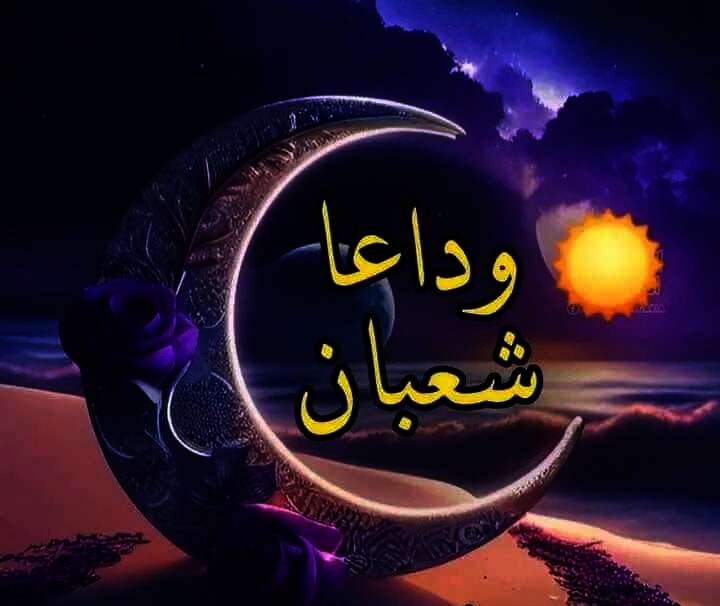 IMG ٢٠٢٤٠٣٠٧ ١٨٥٩٢٩
