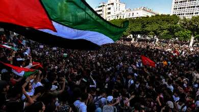 المظاهرات المؤيدة لفلسطين