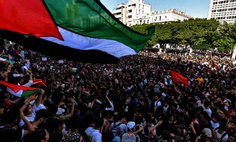 المظاهرات المؤيدة لفلسطين