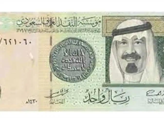 طفلة لقيت مصرعها غرقاً في الرياح البحيري