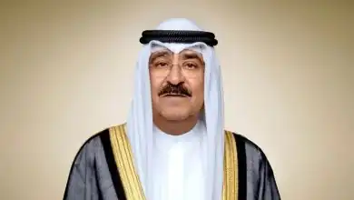 تامر حسنى