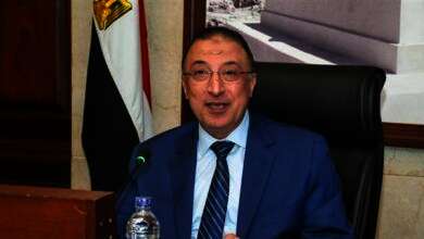 محافظ الإسكندرية