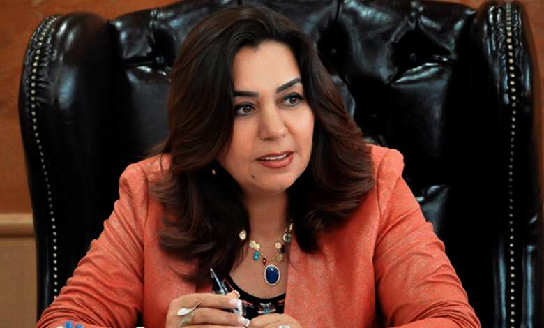 محافظ دمياط
