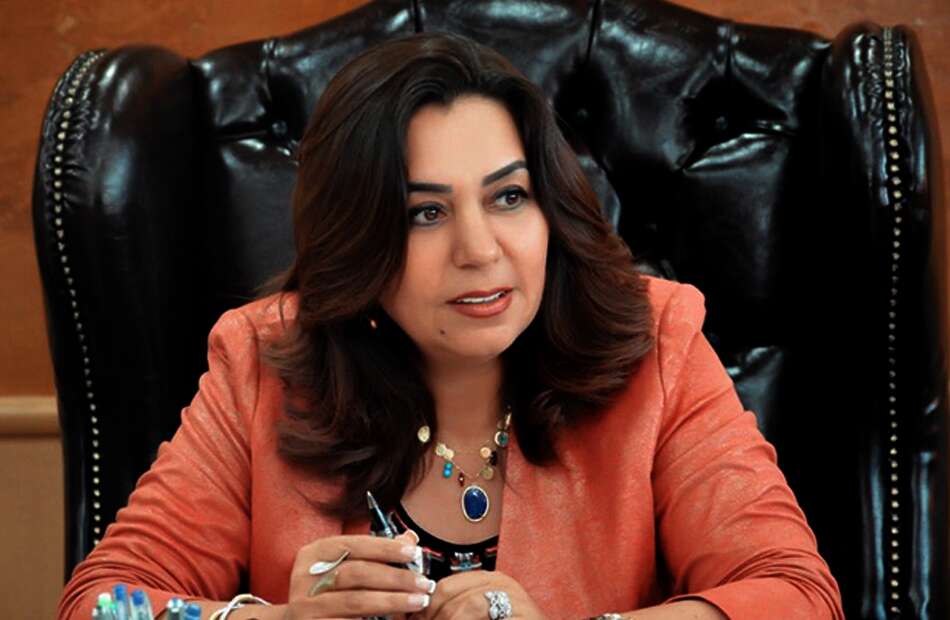 محافظ دمياط