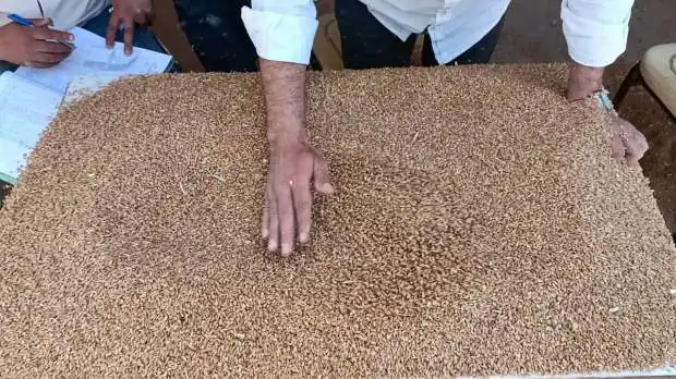 السعودية