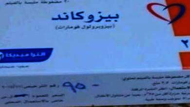 73E985ED 30EC 44ED A27D 587DB66C9E0A