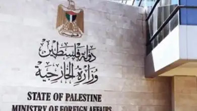 محمد الشناوي