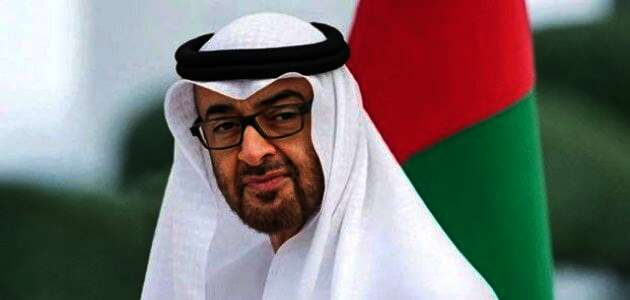 الرئيس الإماراتى