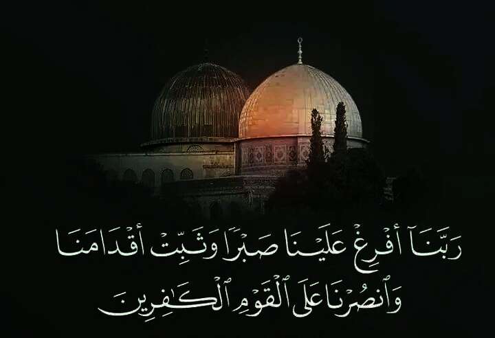 IMG ٢٠٢٤٠٥٠٥ ٠٢٢٣٥٧