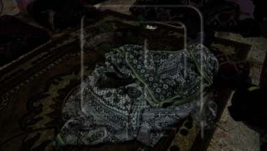 IMG ٢٠٢٤٠٥١٨ ١١٠٤٥٩