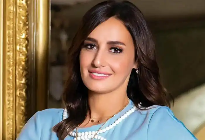 محمد محمود عبدالعزيز