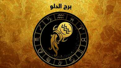 برج الدلو
