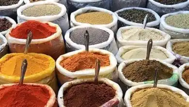برج الثور