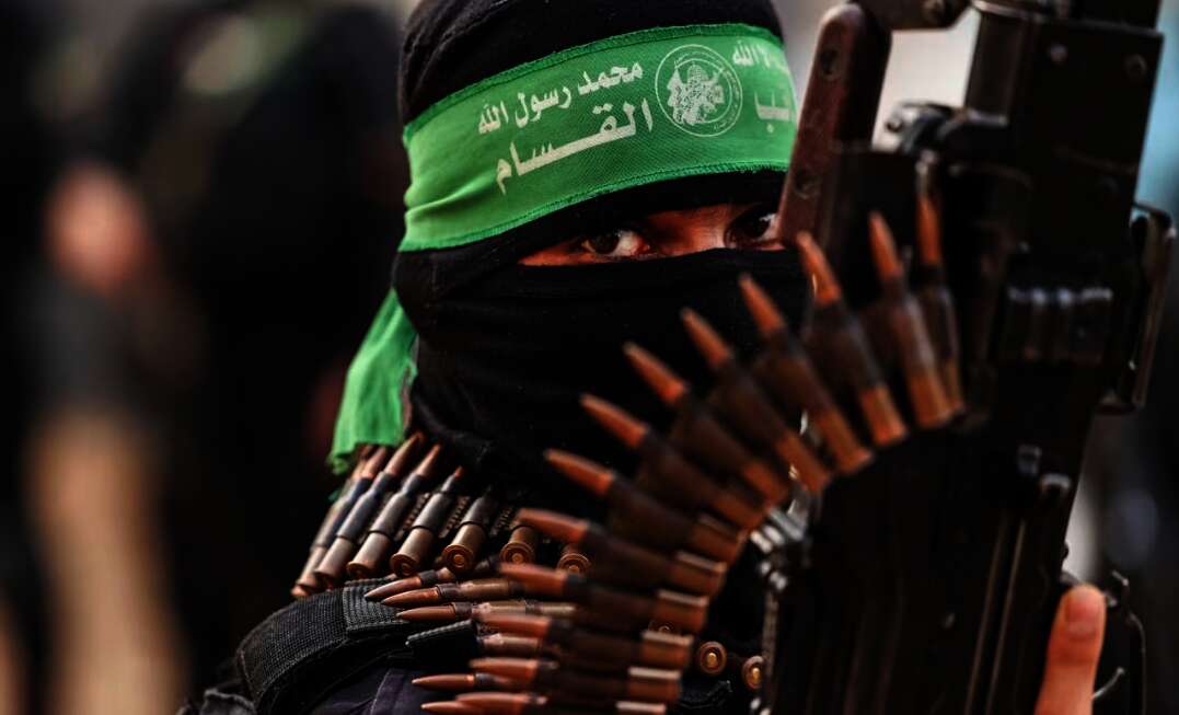IMG ٢٠٢٤٠٦٠٦ ١٣٠٩٥١