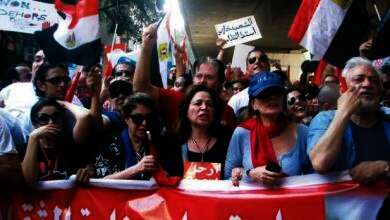شارك نجوم الفن والغناء في ثورة 30 يونيو 2013