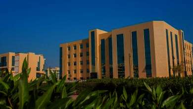جامعة العريش