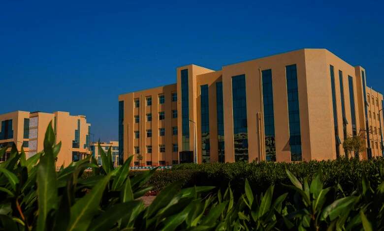 جامعة العريش