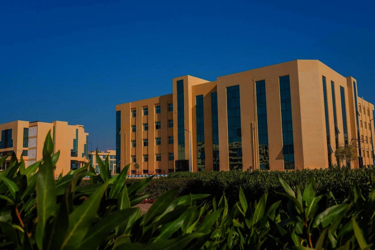 جامعة العريش