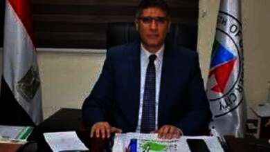 المهندس عادل النجار، محافظ الجيزة