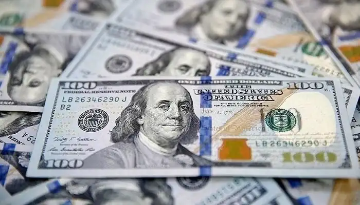 إجمالي توريد القمح لصوامع وشون الشرقية إلى 614 ألفا و856 طنا