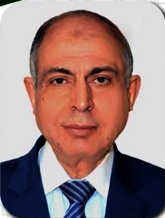 عماد كدواني، محافظ المنيا