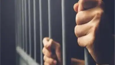 الدكتور ناصر مندور، رئيس جامعة قناة السويس