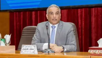 الفنانة هلا السعيد