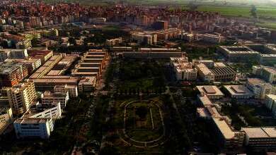 جامعة المنصورة