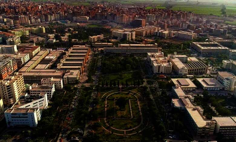 جامعة المنصورة