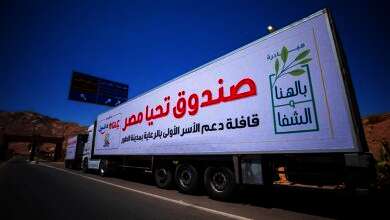صندوق تحيا مصر